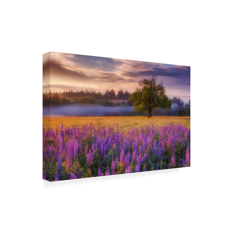Darren White Photography 'Lupine Sunrise' Canvas Art