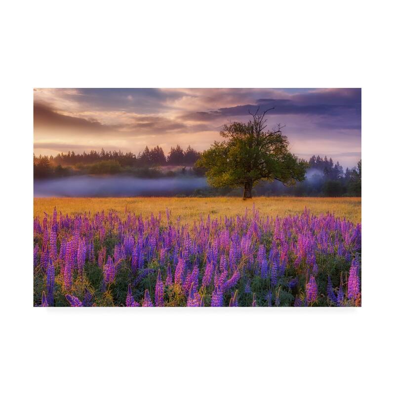 Darren White Photography 'Lupine Sunrise' Canvas Art