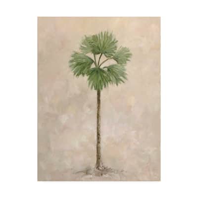 Debra Lake 'Palm Tree 3' Canvas Art