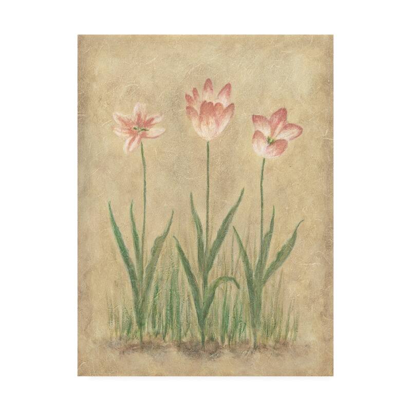 Debra Lake 'Pink Blooms On Parchment' Canvas Art