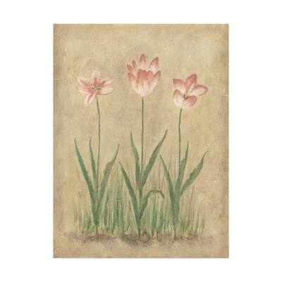 Debra Lake 'Pink Blooms On Parchment' Canvas Art