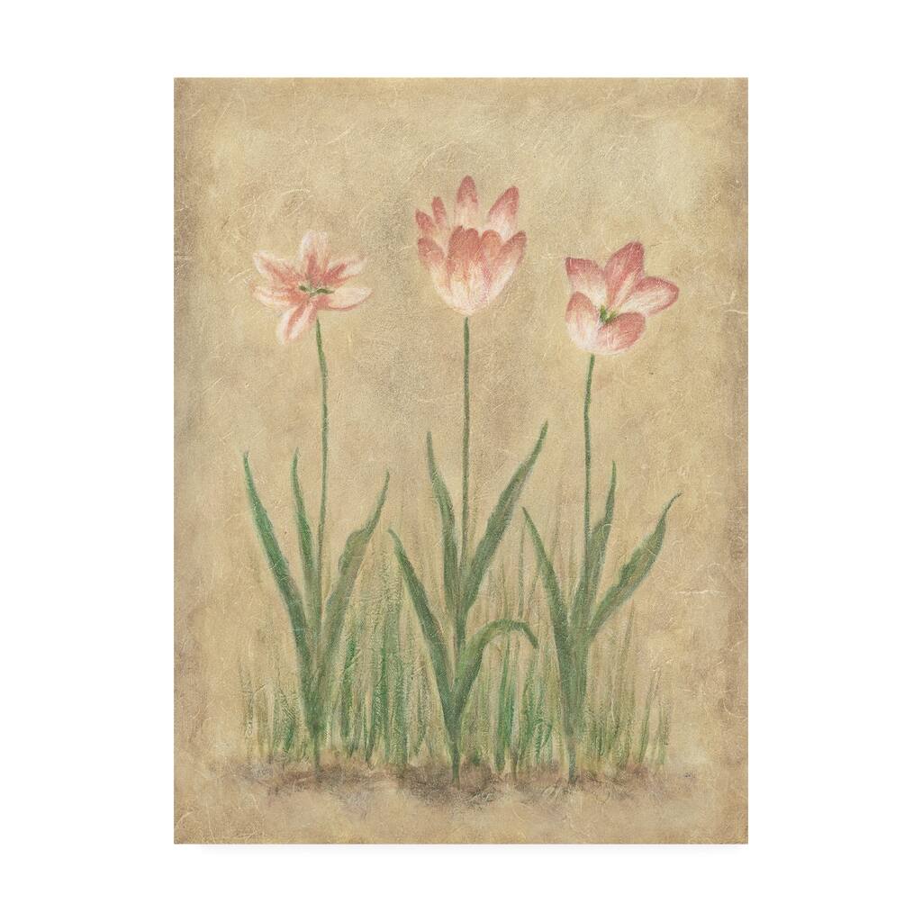 Debra Lake 'Pink Blooms On Parchment' Canvas Art