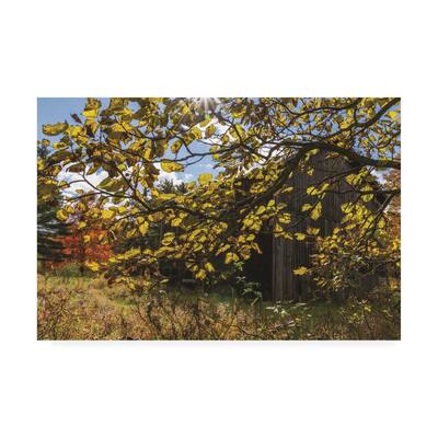 Kurt Shaffer Photographs 'Secret Barn' Canvas Art