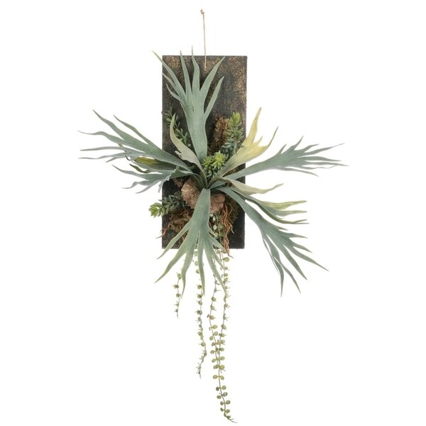 Staghorn On Board Wall Décor - Green - 20"L x 12"W x 27"H