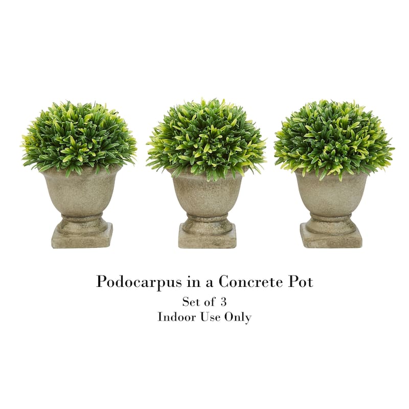 Set of 3 Artificial Podocarpus Grass Plant in Concrete Pot- Round - Set of 3