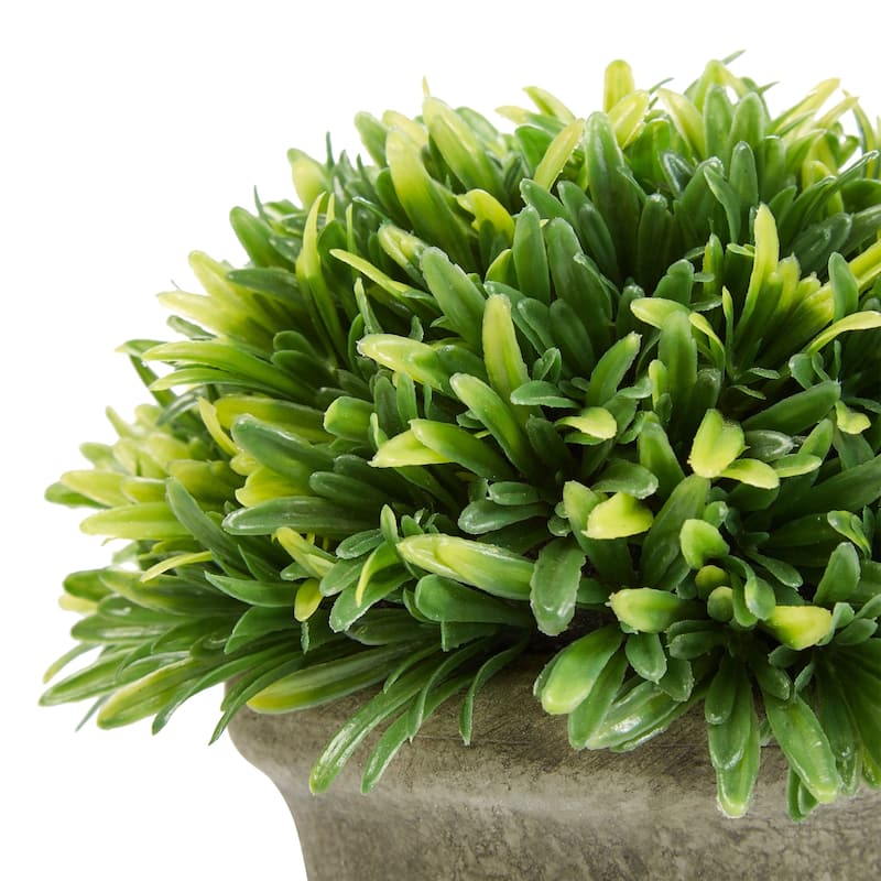 Set of 3 Artificial Podocarpus Grass Plant in Concrete Pot- Round - Set of 3