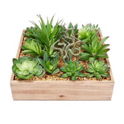 Assorted Faux Succulents with 10 Inch Wooden Box