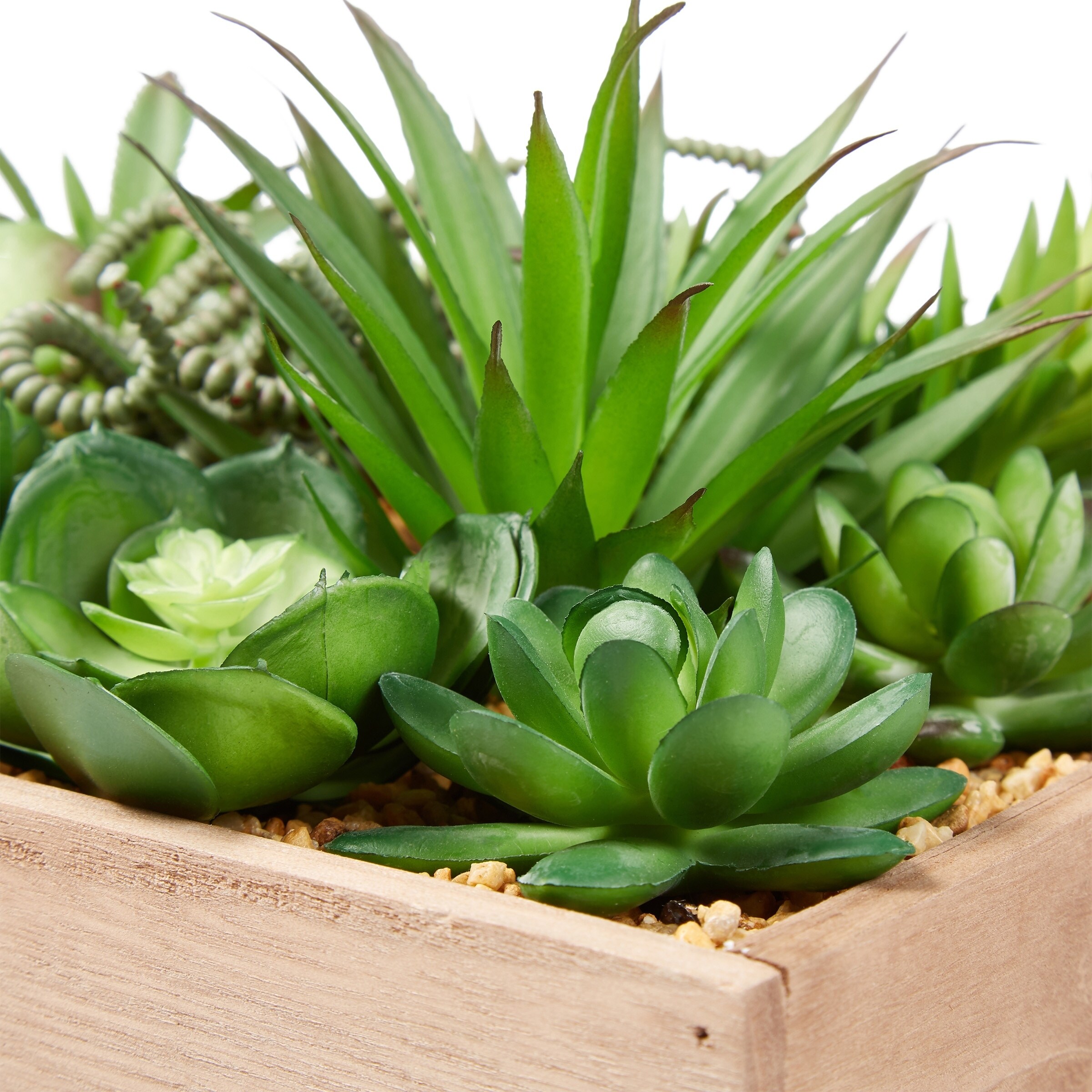 Cosmic Box Faux Succulent Floral Arrangement w/Handcrafted Wooden Planter - Green Goblin mini Cosmic Box Faux Succulent Floral Arrangement w/Handcrafted Wooden Planter - Green Goblin mini