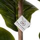 Pure Garden 72-inch Artificial Fiddle Leaf Fig Tree Faux Plant in Pot Natural Feel Leaves Realistic Indoor Potted Topiary