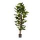 Pure Garden 72-inch Artificial Fiddle Leaf Fig Tree Faux Plant in Pot Natural Feel Leaves Realistic Indoor Potted Topiary