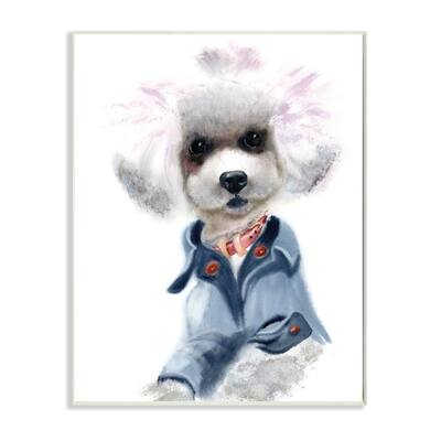 The Stupell Home Decor Watercolor Poodle In a Blue Jacket Portrait, 10 x 15, Proudly Made in USA - 10 x 15