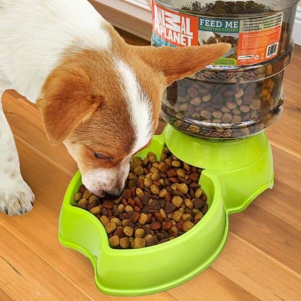 Shop Animal Planet Pet Dog Food And Water Dispenser 2 Pack Value