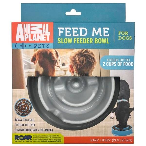 Shop Animal Planet Dog Slow Maze Feeder Bowl For Pets 2 Cups Of