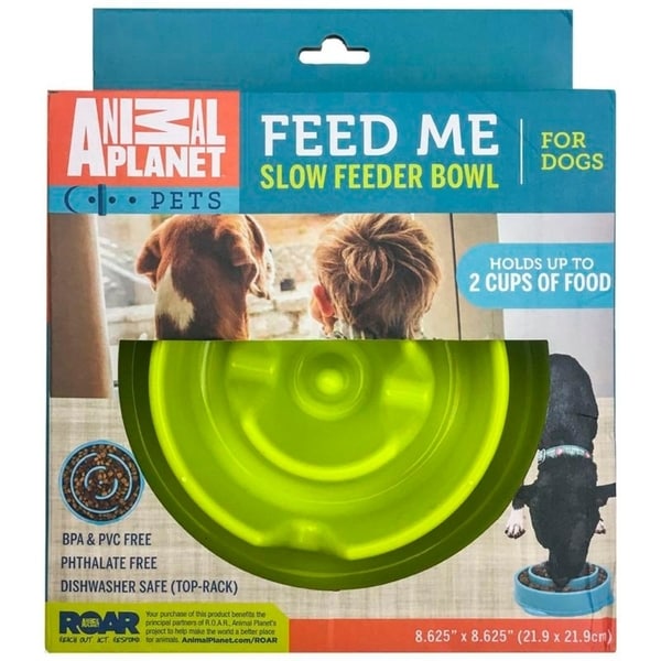 green feeder for dogs