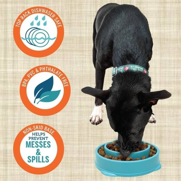 Shop Animal Planet Dog Slow Maze Feeder Bowl For Pets 2 Cups Of