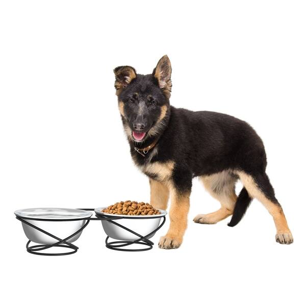 Shop Petmaker 40 Ounce Each 2 Bowl Stainless Steel Elevated