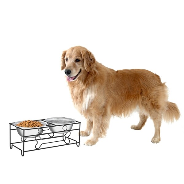 elevated stainless steel dog bowls