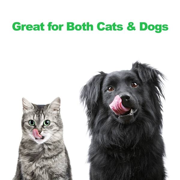 Shop Petmaker 40 Ounce Each 2 Bowl Stainless Steel Elevated
