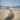 'Dog by the Beach' Painting Print on Wrapped Canvas - Multi-color