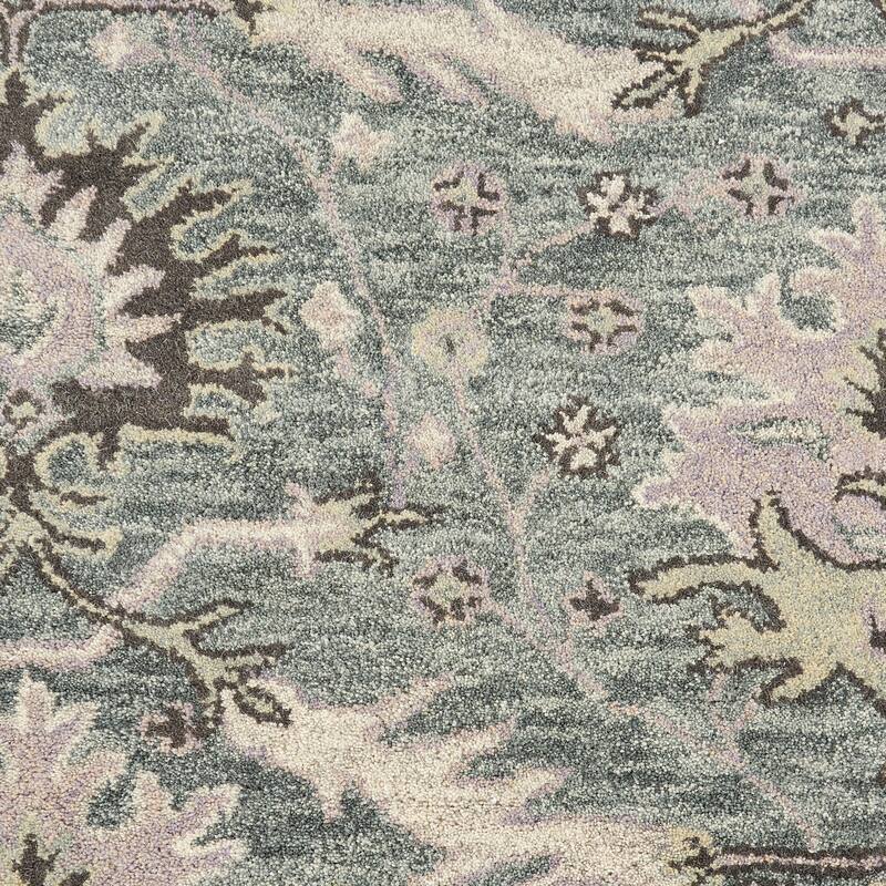 Nourison Jazmine Hand-Tufted Vintage Traditional Area Rug