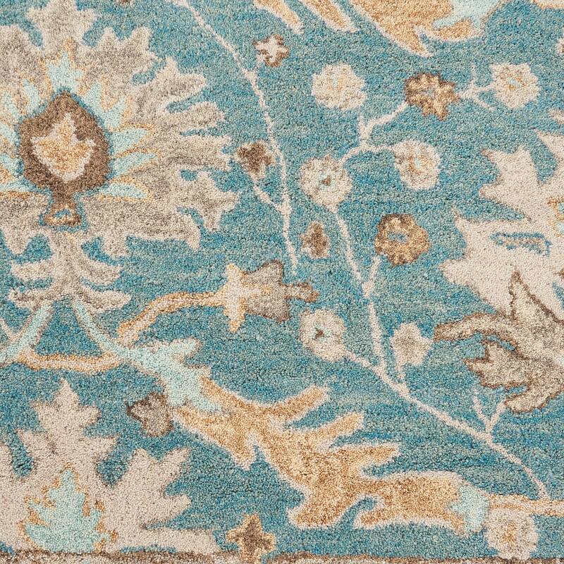Nourison Jazmine Hand-Tufted Vintage Traditional Area Rug