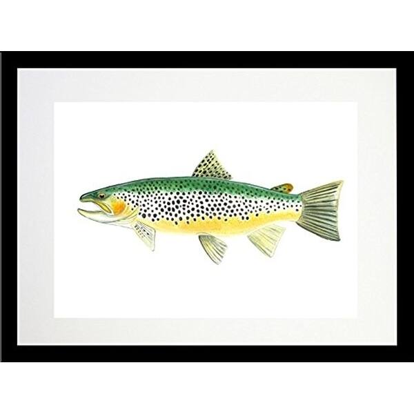 FRAMED Trout By Damon Crook Graphic Art Print - 20 x 16 - Black