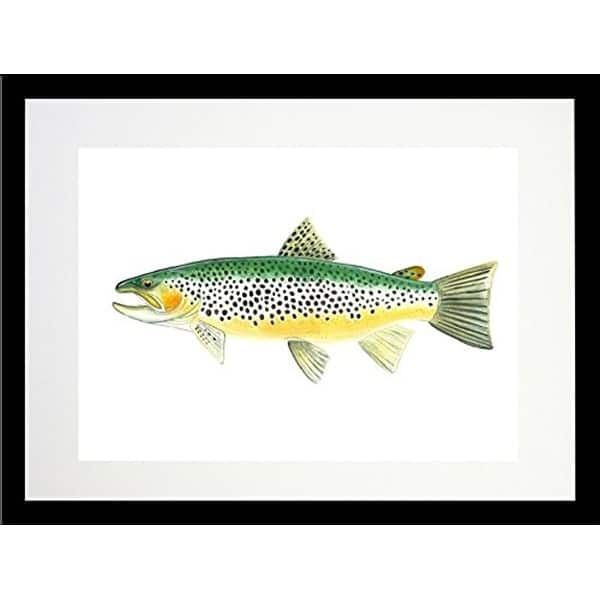 FRAMED Trout By Damon Crook Graphic Art Print