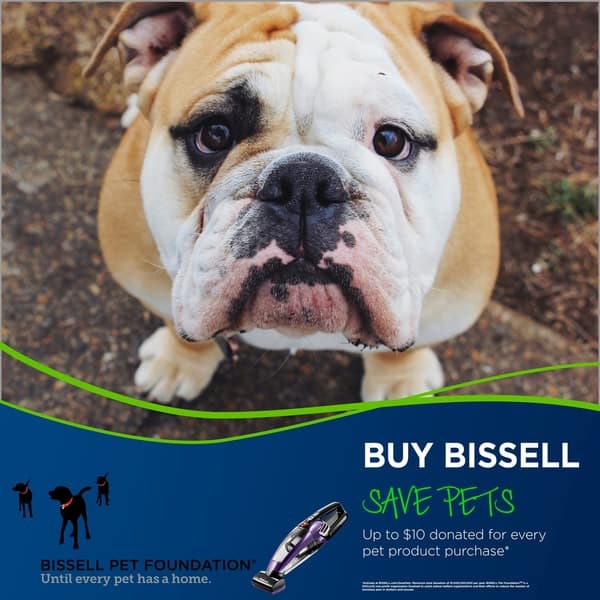 Bissell Pet Hair Eraser Lithium Ion Cordless Pet Hand Vac