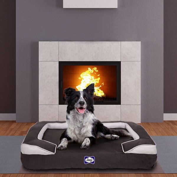 cuddler dog bed medium