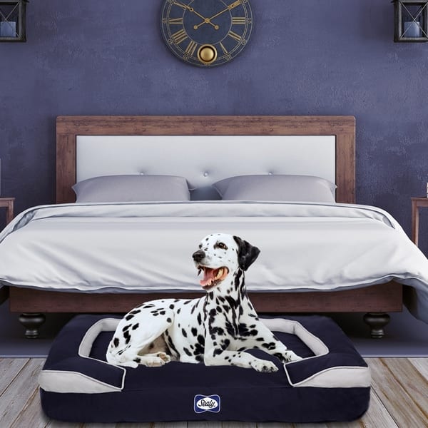 Sealy Dog Bed Cushy Cuddler Crushed Memory and Orthopedic Foam Dog Bed