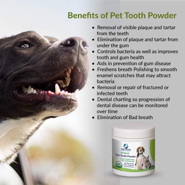 dog tooth powder