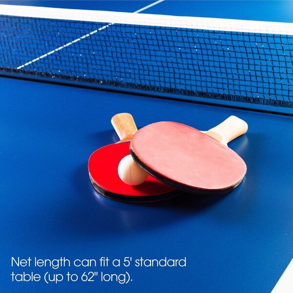 portable ping pong net and paddles