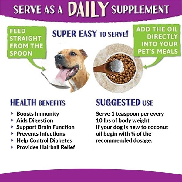 andy's feed and pet store
