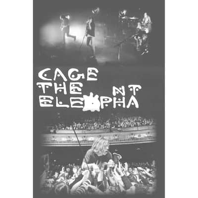 Cage the Elephant Group 36x24 Music Band Art Print Poster