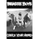 Beastie Boys - Check Your Head 1992 Album 36x24 Music Band Art Print ...