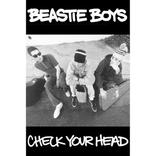 Beastie Boys - Check Your Head 1992 Album 36x24 Music Band Art