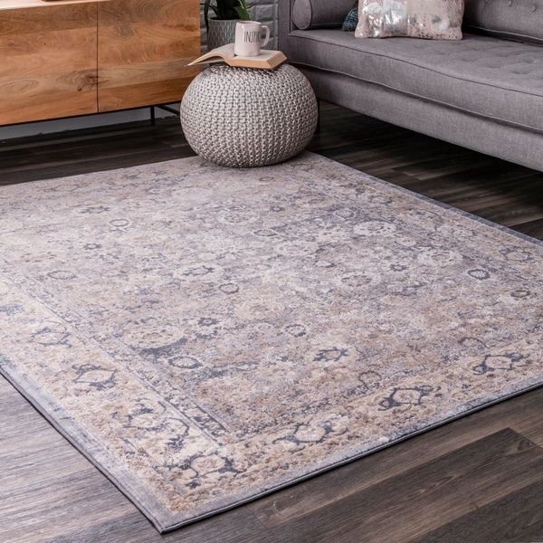 nuLOOM Sol Vintage Floral Bordered Area Rug