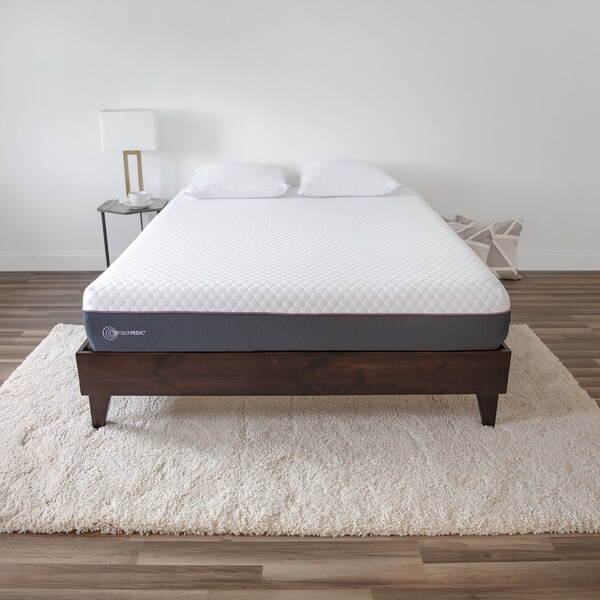 Shop SensorPEDIC 10-Inch Plush 3-Layer Memory Foam ...