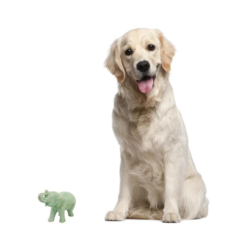 Handmade Laughing Elephant Celadon Ceramic Figurine (Thailand)
