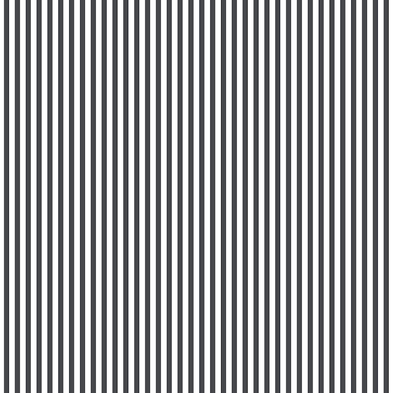 6mm Stripe Wallpaper in Black
