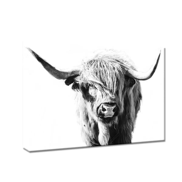 The Gray Barn Dominie Highland Cow Animals Rectangle Gallery Wrapped 