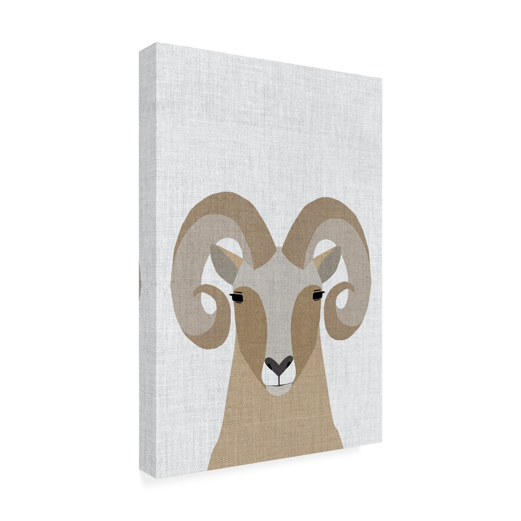 Annie Bailey Art 'Bighorn Sheep' Canvas Art - Bed Bath & Beyond - 28030091