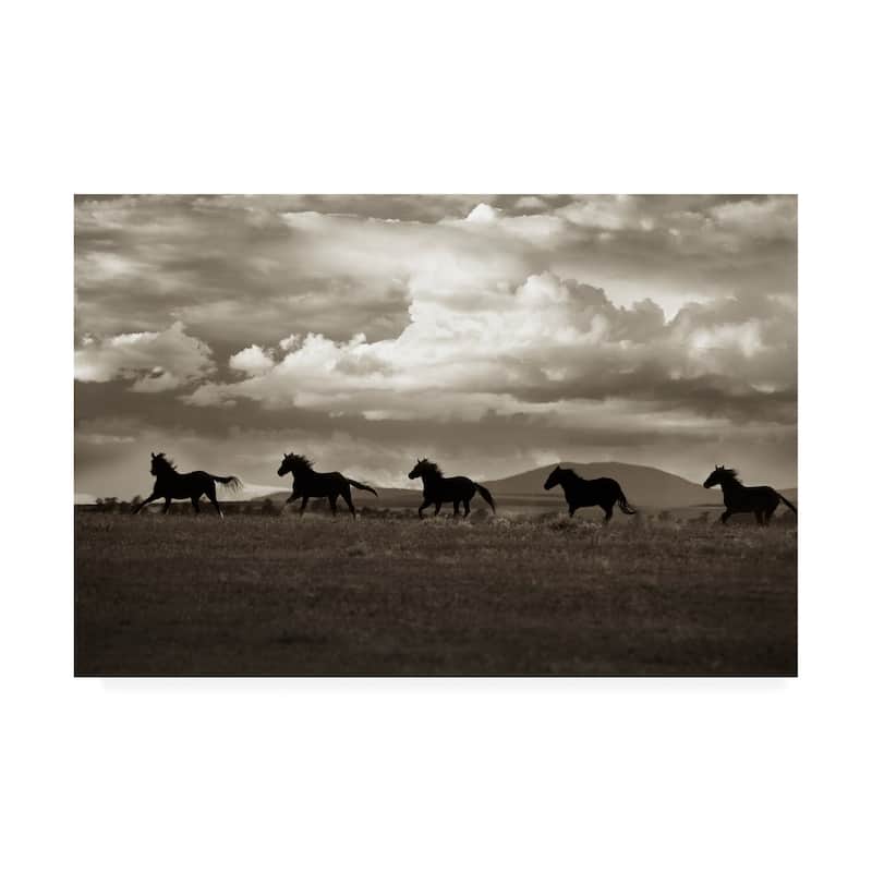 Lisa Dearin 'Racing the Clouds' Canvas Art