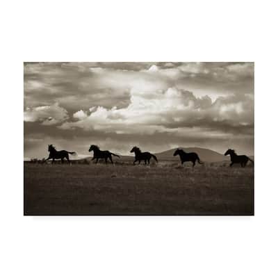 Lisa Dearin 'Racing the Clouds' Canvas Art