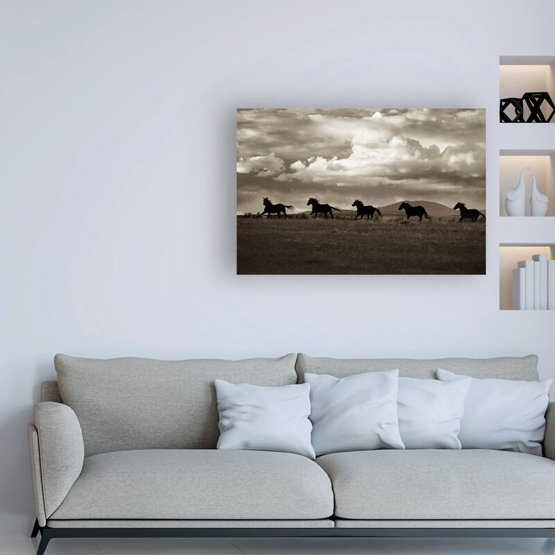 Lisa Dearin 'Racing the Clouds' Canvas Art