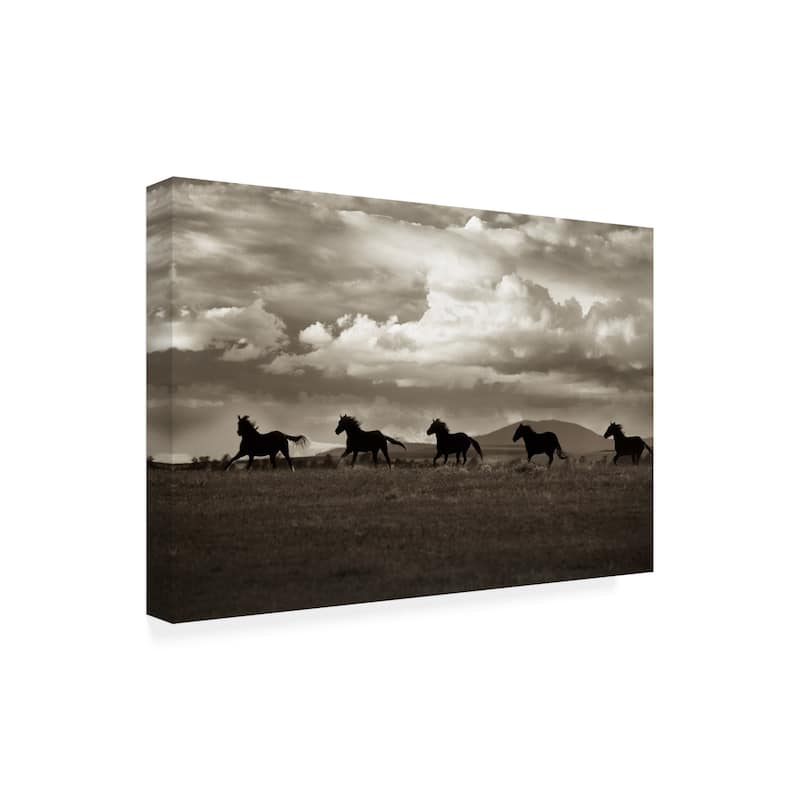 Lisa Dearin 'Racing the Clouds' Canvas Art