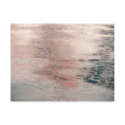 PhotoINC Studio 'Silver Pink Light' Canvas Art