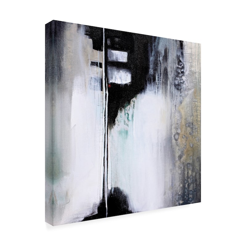 Karen Hal 'Black and White Drama' Canvas Art - Bed Bath & Beyond - 28030977