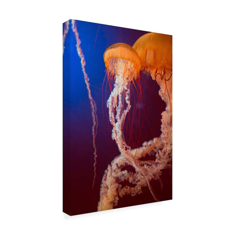 PhotoINC Studio 'Jelly 3' Canvas Art - Bed Bath & Beyond - 28031105