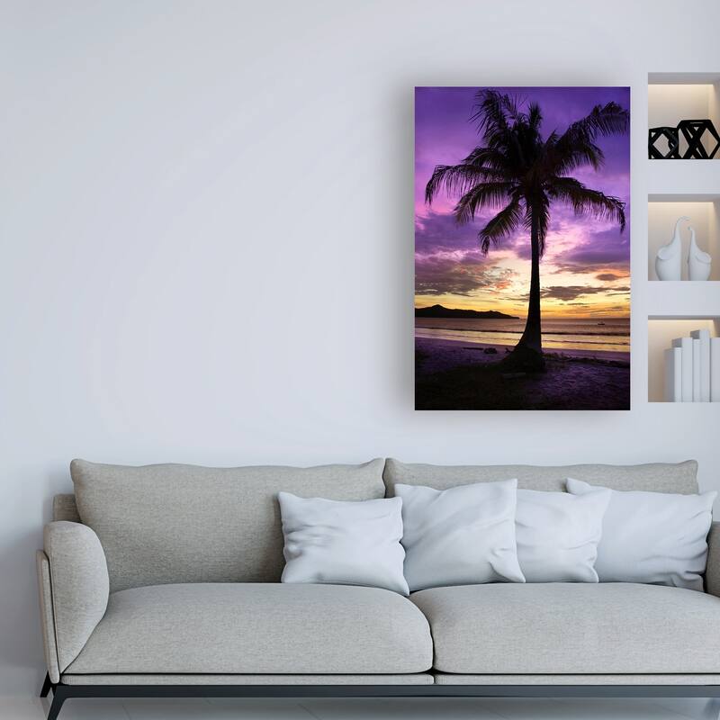 Winthrope Hier 'Brasalito Bay, Costa Rica' Canvas Art - Bed Bath ...